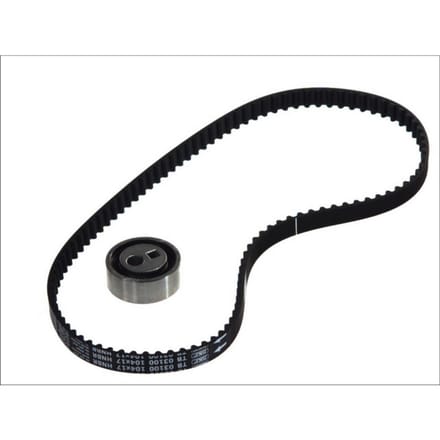 Distributieriemset SKF VKMA 03100