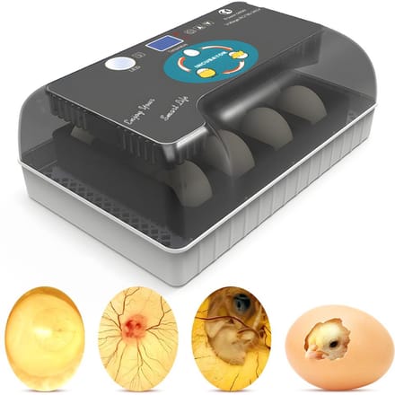 Broedmachine voor 12 eieren met automatische eierkeuring, vochtigheidsregeling, temperatuurweergave en eierlamp EU Plug black