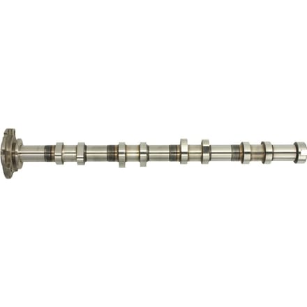 Nokkenas  AE CAM956