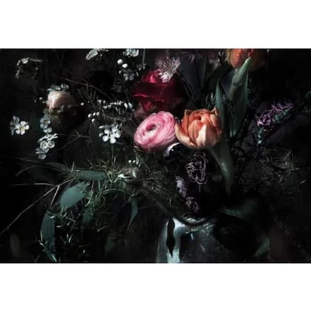 Komar-Fotobehang-Still-Life-368x254-cm
