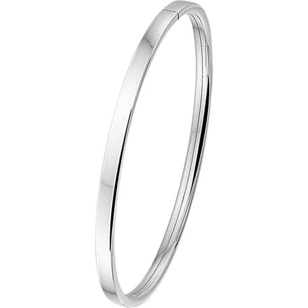 The Jewelry Collection - Bangle Dop Vlakke Buis 4 X 60 mm - Zilver