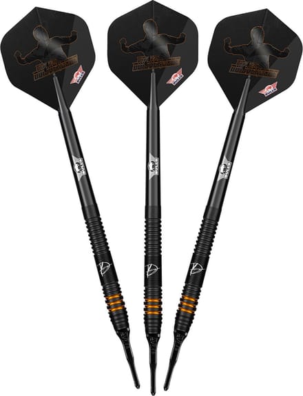 Bull's Softtip Dirk van Duijvenbode E2 - Dartpijlen 90% Tungsten - 20 gram