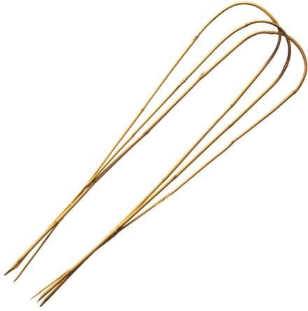 Nature Bamboestok Gebogen Natural - Klim-En Geleide Artikel - 60 cm