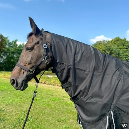 Paardendeken York