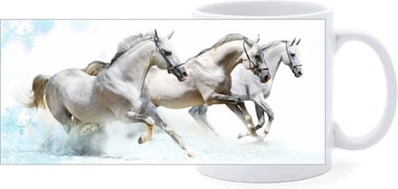 Beker - Witte Paarden in Galop