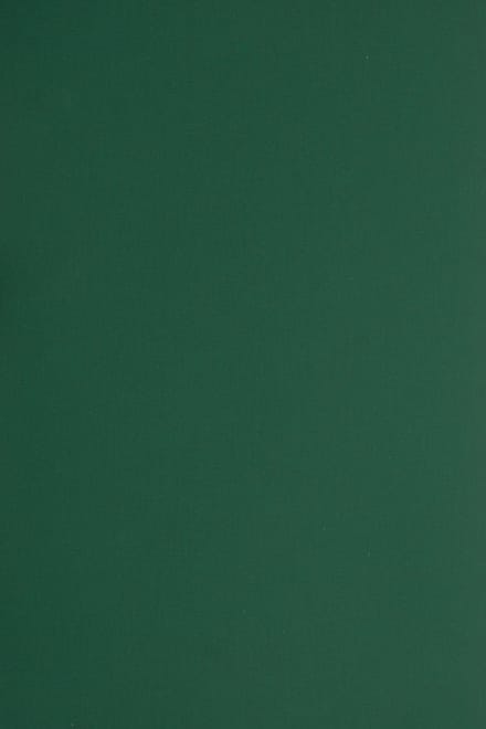 Netuno - groen glad gekleurd papier - A4 - 21 x 29,7 cm - 10 vellen - 330 gram - Plike Green