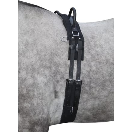 Paardensurfplank met handvat HKM Canvas