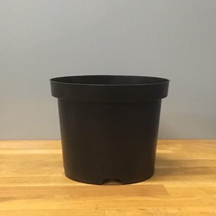 Kweekpot Zwart Rond 4 liter - Ø19cm (10 stuks)