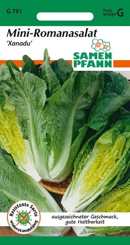 Mini romaine sla, Xanadu - groentezaden, slazaden