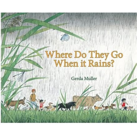 Where Do They Go When It Rains? - Gerda Muller