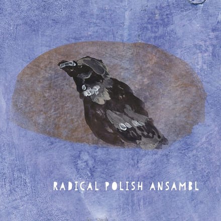 Radical Polish Ansambl - Radical Polish Ansambl (CD)