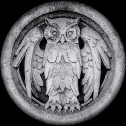 Abnocto - Monarchy