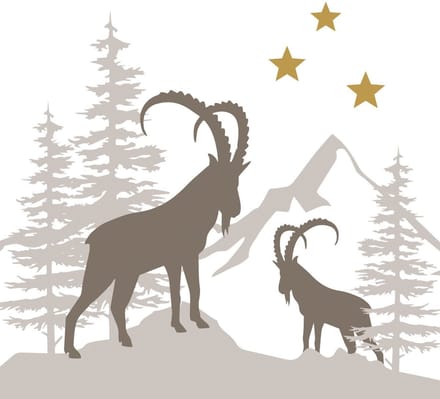 PPD - Lunch servetten - Winter Capricorns