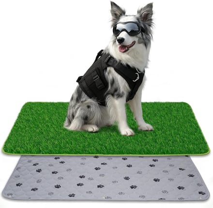 Hondentoilet kunstgras - Zindelijkheidstraining hond - Geurafstotend - Puppy mat