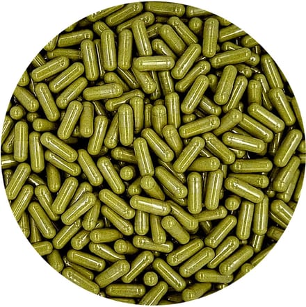 Moringa Capsules 1000 Stuks