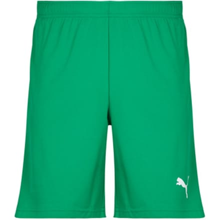 Puma Teamrise Short Heren - Groen | Maat: L