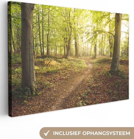 Canvas Schilderij Bos - Pad - Zonsopgang - 60x40 cm - Wanddecoratie