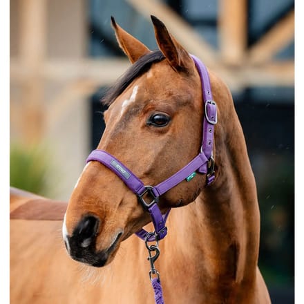 Halster en touwset voor paarden Horseware Amigo