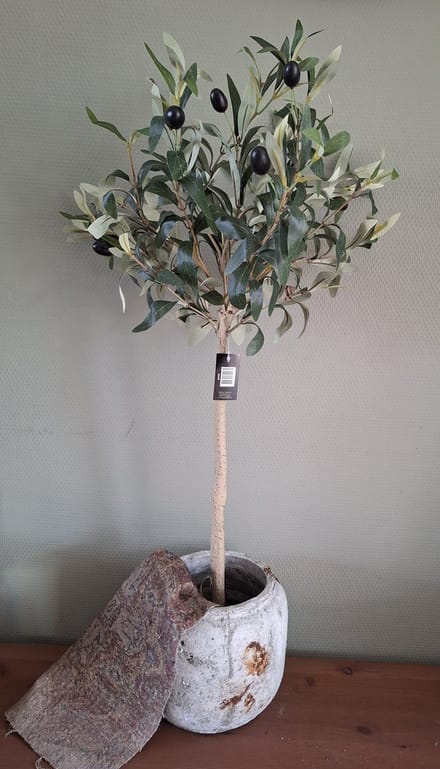 Roberts-olijfboom-85 cm kunstolijfboom-kunstbloem-