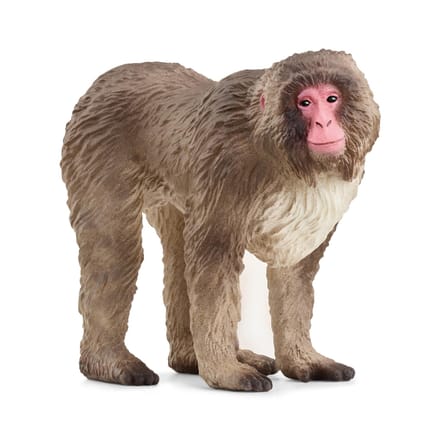 schleich WILD LIFE - Japanse makaak - 14871