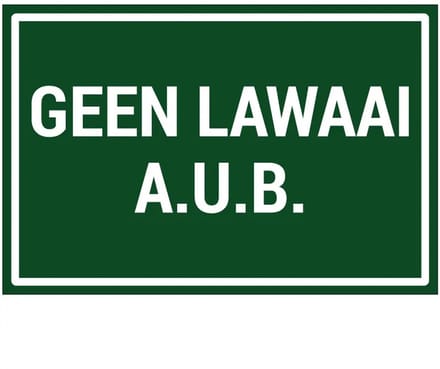 Geen lawaai aub sticker | 30 x 20 cm