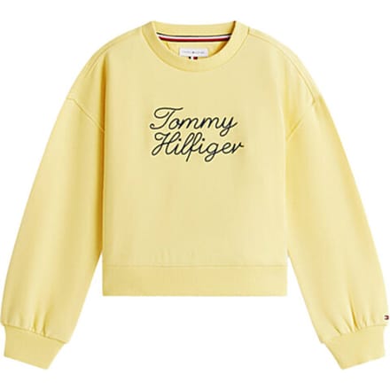 Tommy Hilfiger Sweat kg0kg09439