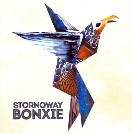 Bonxie - Stornoway