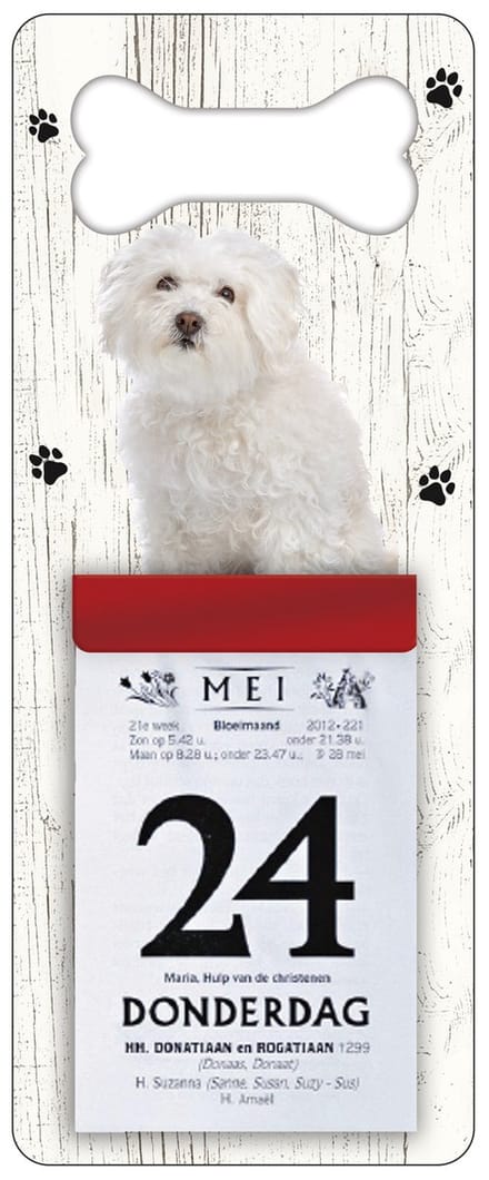 Scheurkalender 2027 Hond: Bolognezer