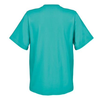 SOLS Dames/Dames Legend T-shirt (Caribisch Blauw)