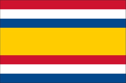 Vlag Tholen 30x45cm