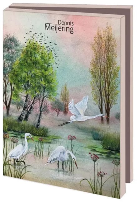Kaartenmapje met env, klein: Vogels, Dennis Meijering