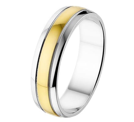 Ring A419 - 5 mm - zonder steen - PSN4207655