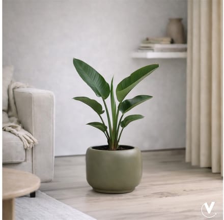 Pot Phuket pebble grey Ø34,5 x H26 cm Vase the World