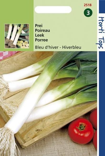 Hortitops Zaden - Prei Blauwgroene Winter, Sel. Hiverbleu