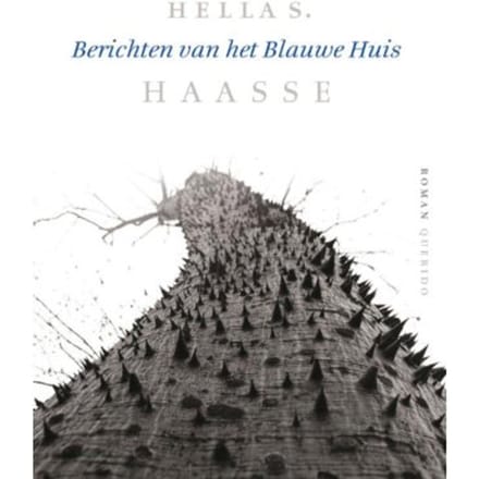Berichten Van Het Blauwe Huis - Hella S. Haasse