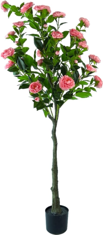 NeverLeafs Kunstplant Camelia Luxe - 160 cm
