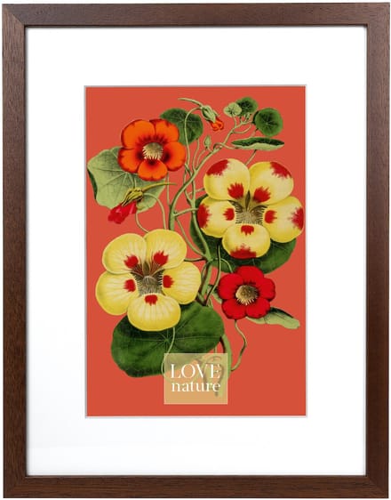 Goldbuch - Fotolijst Rustiq - Bruin - 30x40 cm