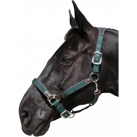 Halster voor paarden nylon/leer Flags&Cup