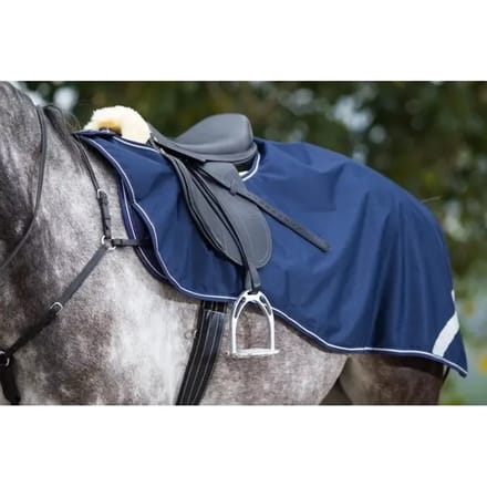 Paardendekens HFI