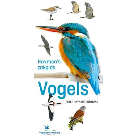 Hayman's Zakgids Vogels - Peter Hayman