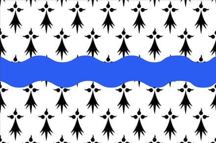 Vlag Loire-Atlantique 100x150cm