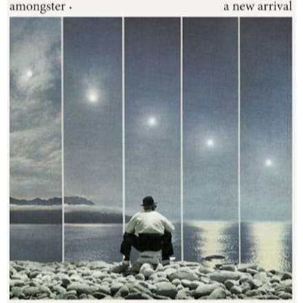 A New Arrival - Amongster