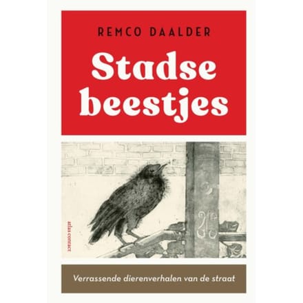 Stadse Beestjes - Remco Daalder