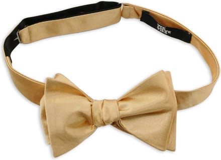 We Love Ties - Vlinderdassen - Vlinderdas polyester satijn goud - goud