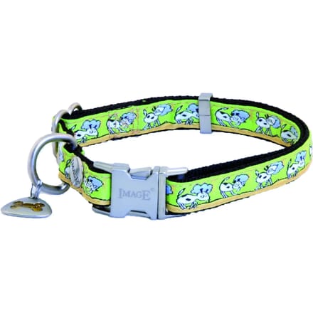 Hondenhalsband Image Oliver