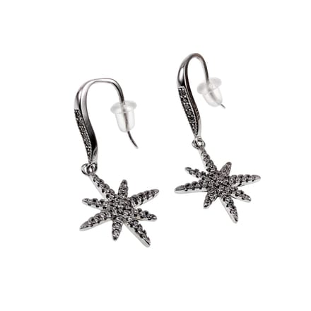 Dames S925 Sterling Zilver Haakoorbellen met Ster-Hanger