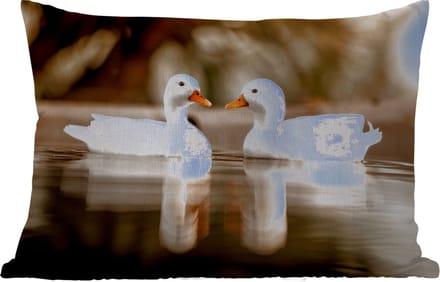 Buitenkussens - Tuin - Eend - Wit - Dieren - Water - Vogel - Eenden - 50x30 cm