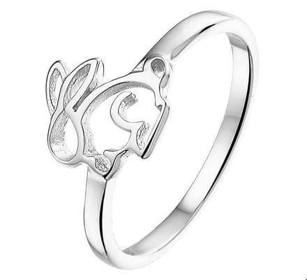 Zilver Gerhodineerde Kinderring konijn 1325973 15.50 mm (49)