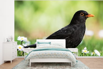 Behang - Fotobehang Vogel - Merel - Bloemen - Breedte 295 cm x hoogte 220 cm