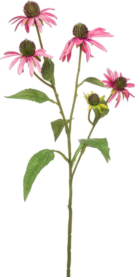 Emerald - Kunstbloem Rudbeckia 73cm roze - Kunstplant voor binnen